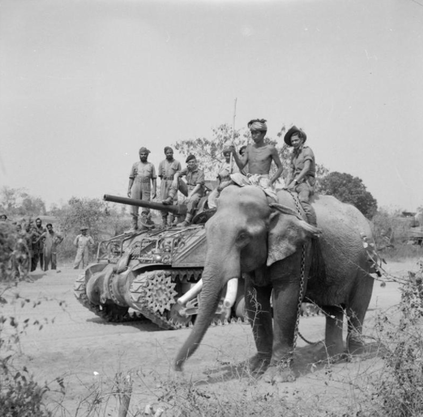 James Howard Williams, aka “Elephant Bill”, riding a Burmese elephant as part of the British guerrilla warfare special forces unit. 